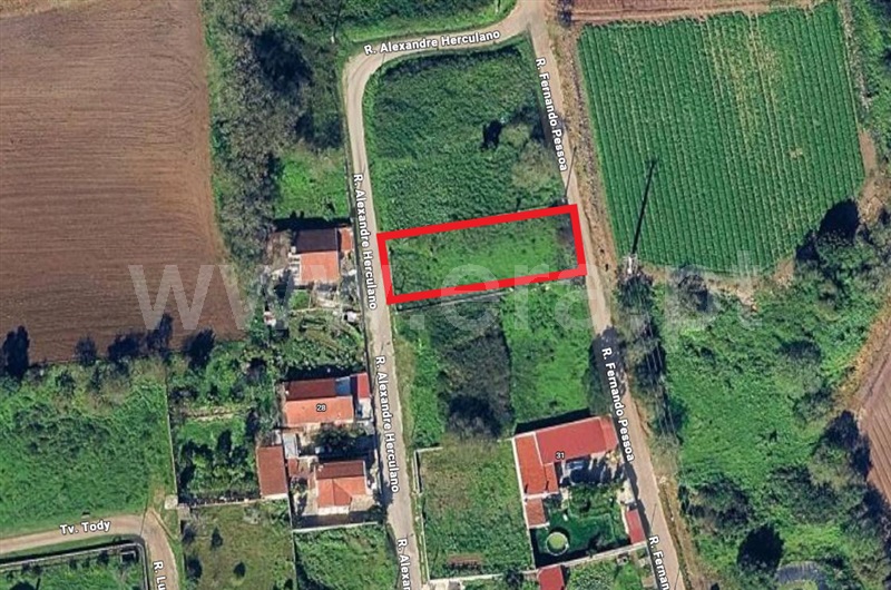 Lote / Sintra, Almornos