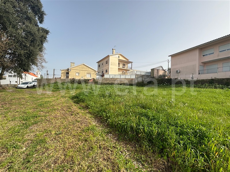 Lote / Sintra, Terrugem