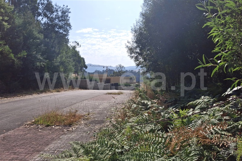 Lote  Ponte de Lima, Fontão - 1501340 - 1