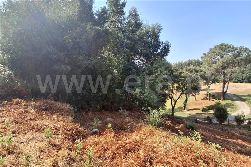 Lote  Ponte de Lima, Fontão - 1501340 - 3