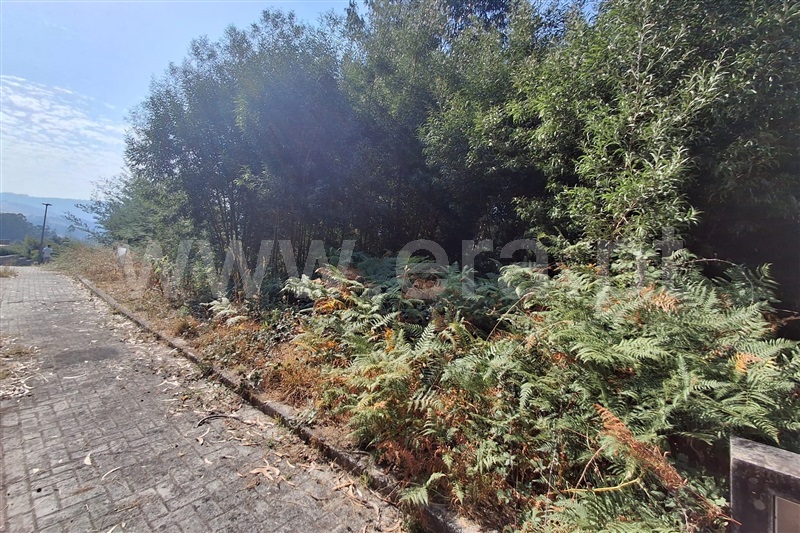 Lote  Ponte de Lima, Fontão - 1501340 - 4