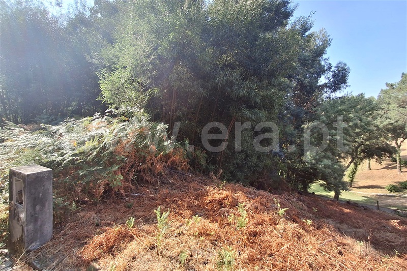 Lote  Ponte de Lima, Fontão - 1501340 - 5