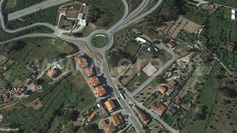 Lote / Tábua, Tábua