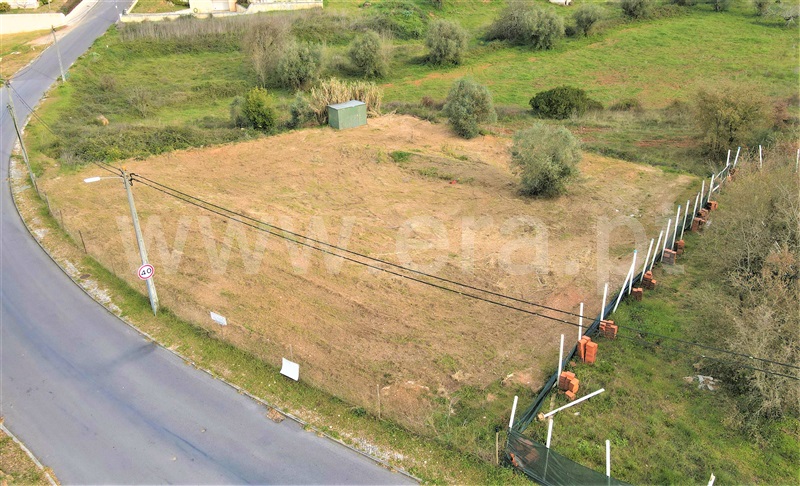 Lote / Tomar, Olalhas
