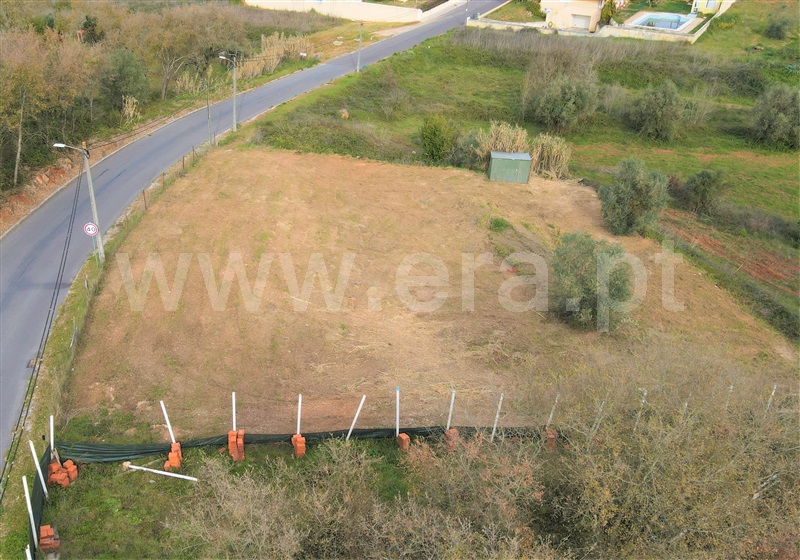 Lote  Tomar, Olalhas - 1228390 - 2
