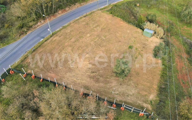 Lote  Tomar, Olalhas - 1228390 - 3