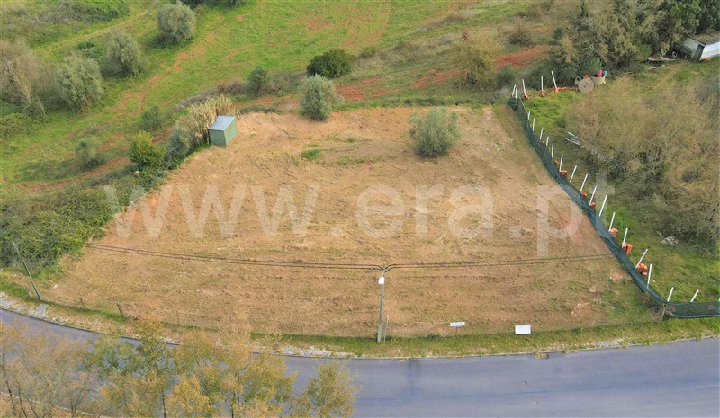 Lote  Tomar, Olalhas - 1228390 - 4