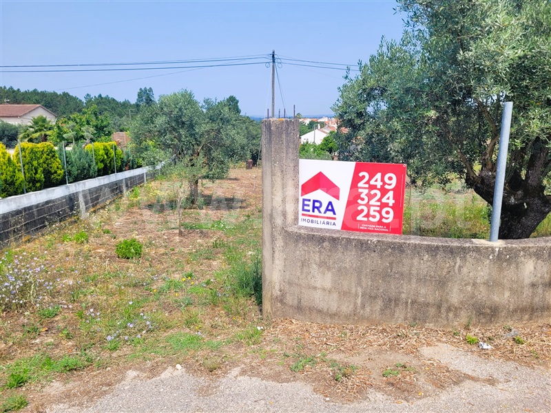 Lote / Tomar, Sabacheira