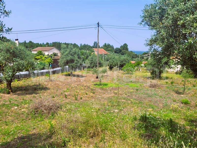 Lote  Tomar, Sabacheira - 1338653 - 2
