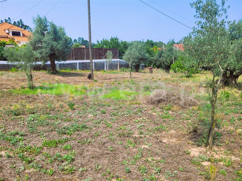Lote  Tomar, Sabacheira - 1338653 - 3