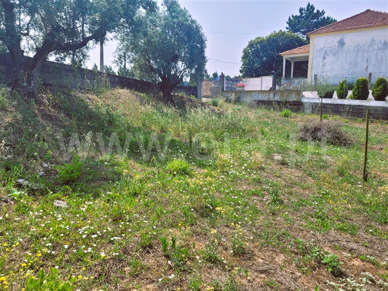 Lote  Tomar, Sabacheira - 1338653 - 4