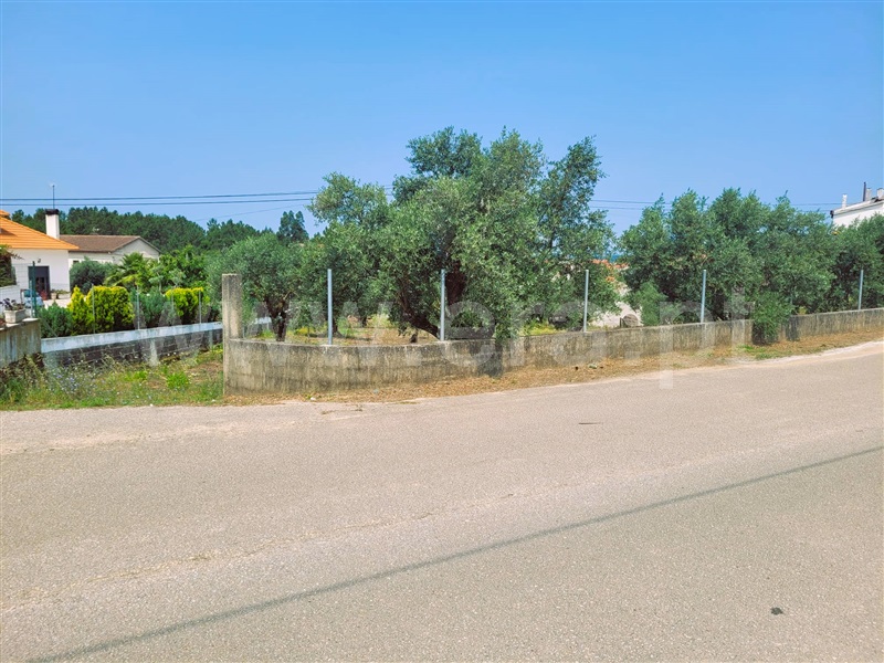 Lote  Tomar, Sabacheira - 1338653 - 5