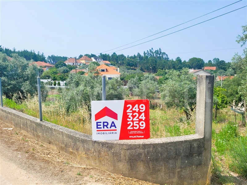 Lote / Tomar, Sabacheira