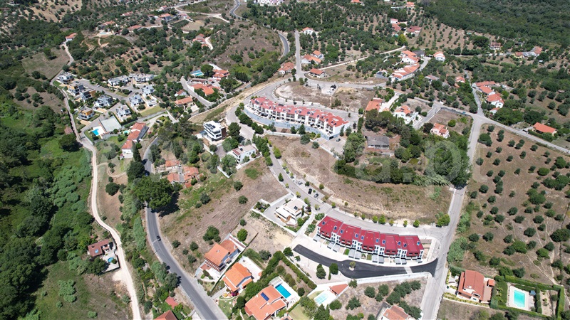 Lote / Tomar, Tomar (São João Baptista) e Santa Maria dos Olivais