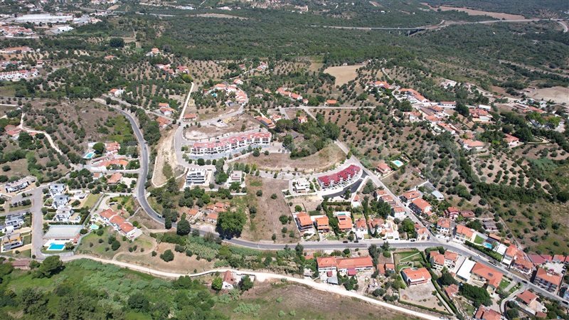 Lote  Tomar, Tomar (São João Baptista) e Santa Maria dos Olivais - 1090763 - 3