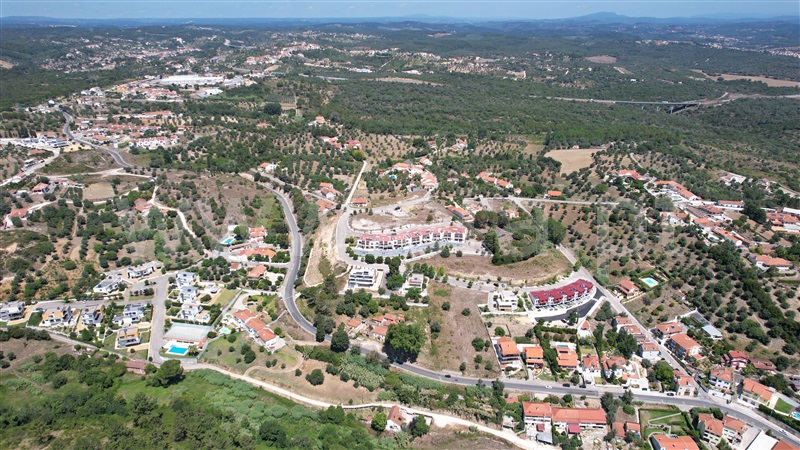 Lote  Tomar, Tomar (São João Baptista) e Santa Maria dos Olivais - 1090769 - 2