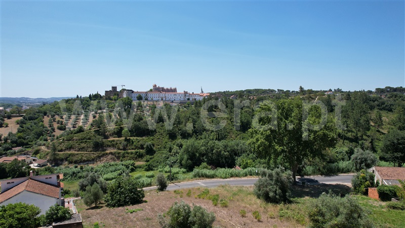 Lote  Tomar, Tomar (São João Baptista) e Santa Maria dos Olivais - 1090836 - 13