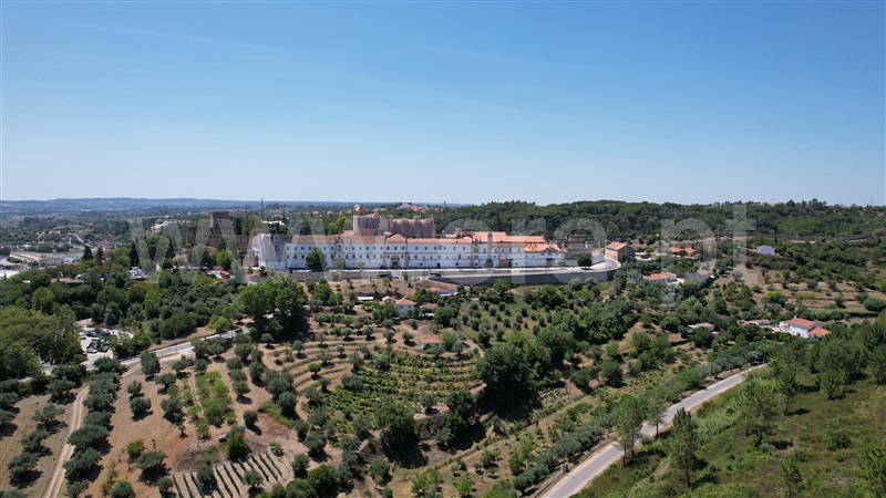 Lote  Tomar, Tomar (São João Baptista) e Santa Maria dos Olivais - 1090836 - 17