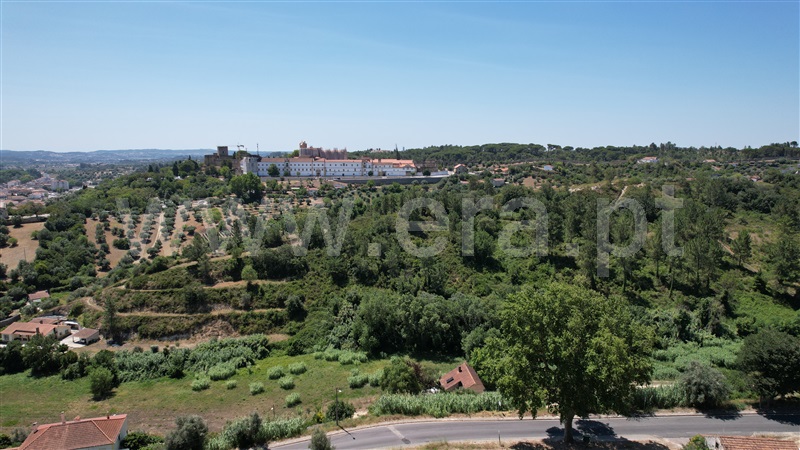 Lote  Tomar, Tomar (São João Baptista) e Santa Maria dos Olivais - 1090837 - 14