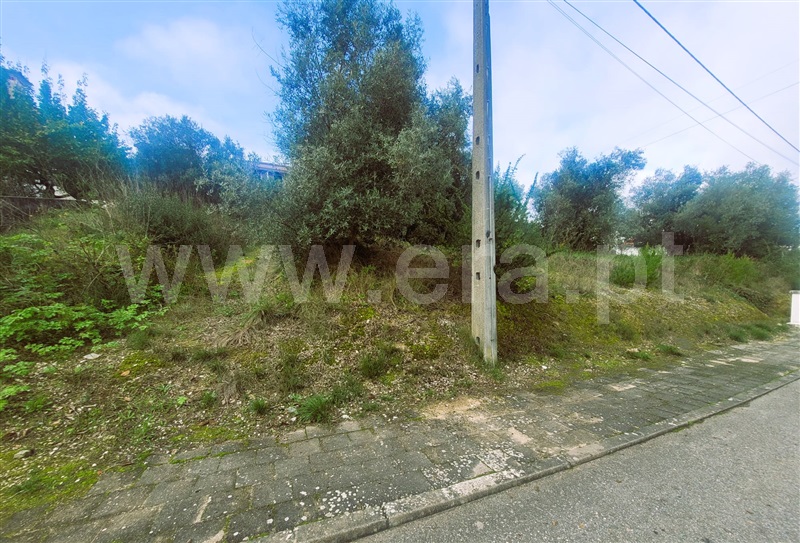 Lote  Tomar, Tomar (São João Baptista) e Santa Maria dos Olivais - 1368991 - 4