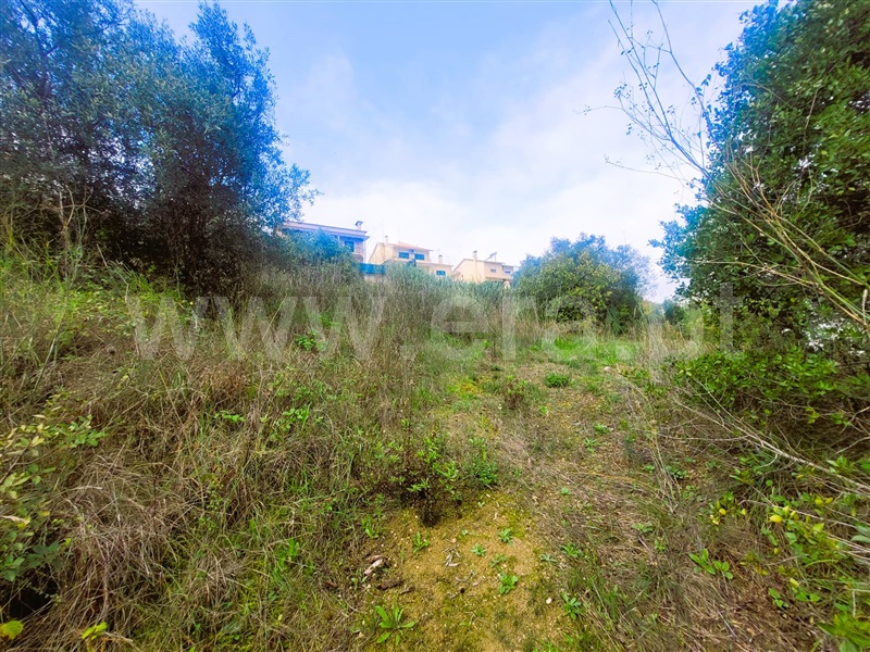 Lote  Tomar, Tomar (São João Baptista) e Santa Maria dos Olivais - 1368991 - 5