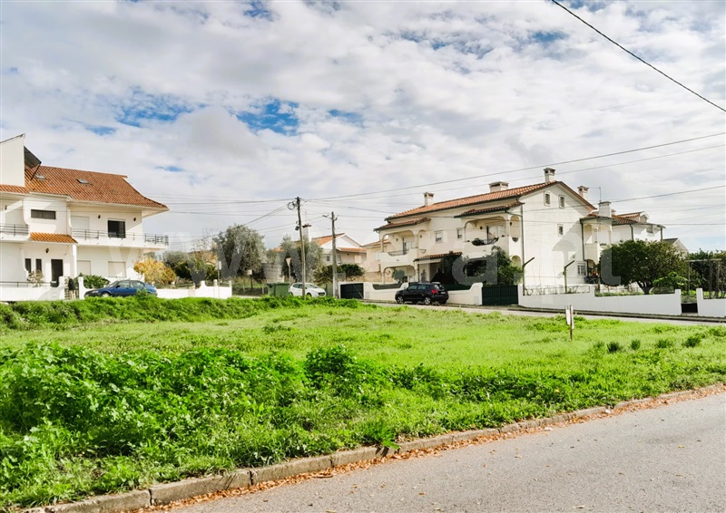 Lote / Tomar, Tomar (São João Baptista) e Santa Maria dos Olivais