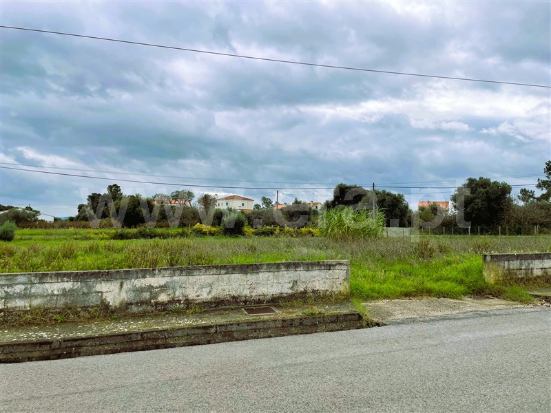 Lote / Tomar, Tomar (São João Baptista) e Santa Maria dos Olivais