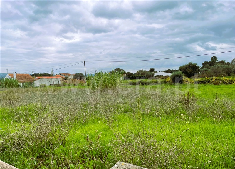 Lote  Tomar, Tomar (São João Baptista) e Santa Maria dos Olivais - 1446411 - 3