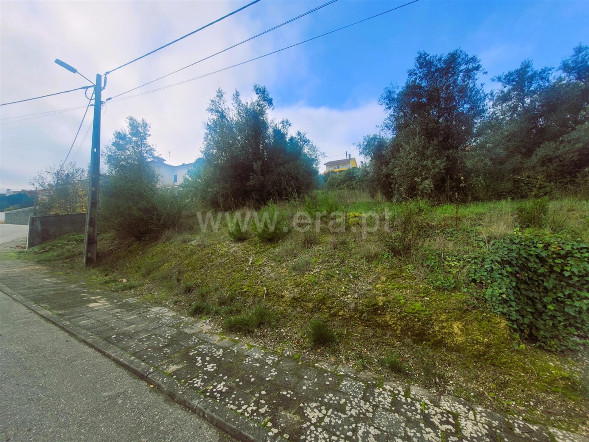 Land for sale in Tomar, Portugal — €62,500