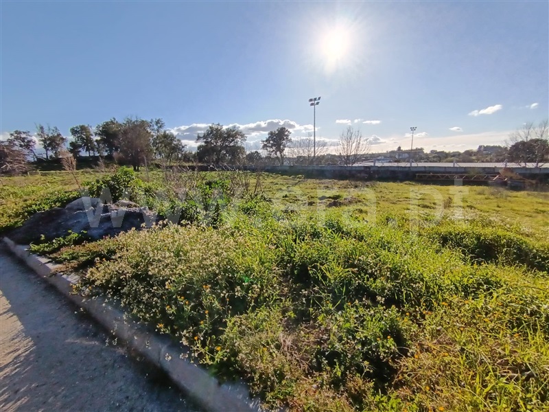 Lote / Tondela, Lajeosa do Dão