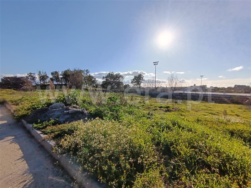 Lote  com Urbano Tondela, Lajeosa do Dão - 1455905 - 2