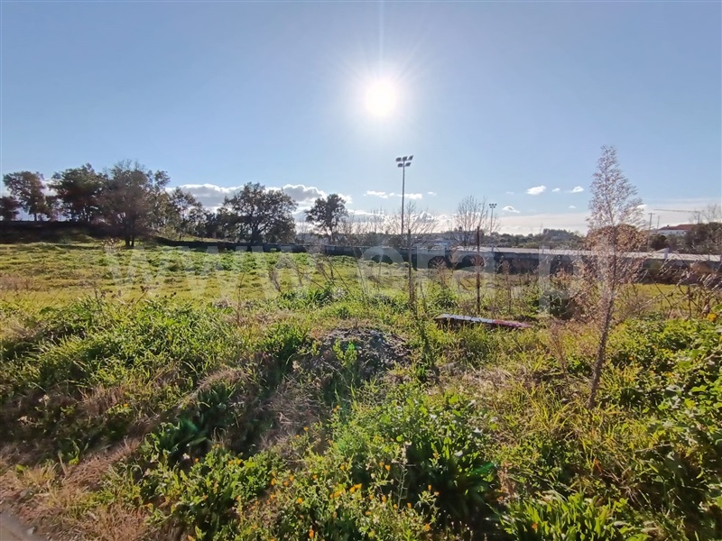 Lote  com Urbano Tondela, Lajeosa do Dão - 1455905 - 3
