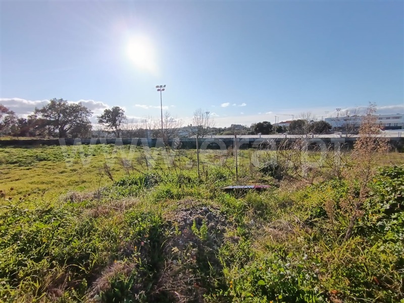 Lote  com Urbano Tondela, Lajeosa do Dão - 1455905 - 5