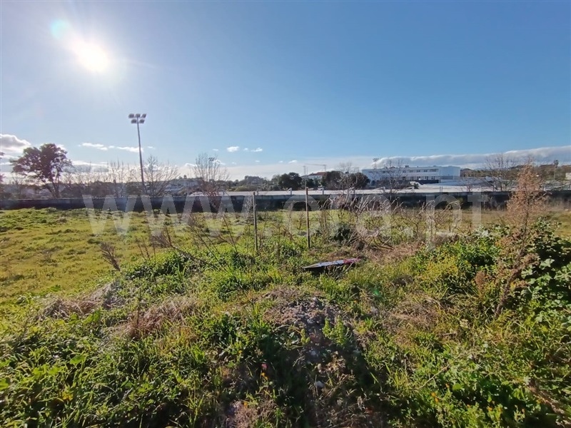 Lote  com Urbano Tondela, Lajeosa do Dão - 1455905 - 8