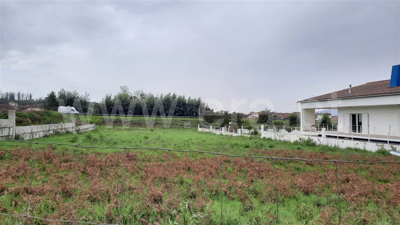 Lote / Tondela, Tondela e Nandufe