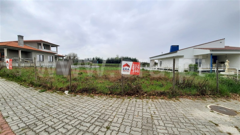 Lote  Tondela, Tondela e Nandufe - 1238743 - 3