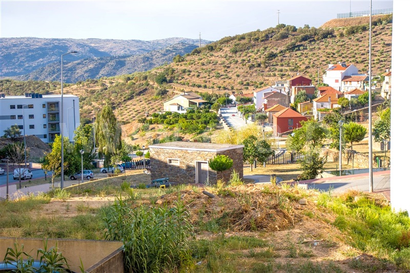 Lote / Torre de Moncorvo, Torre de Moncorvo