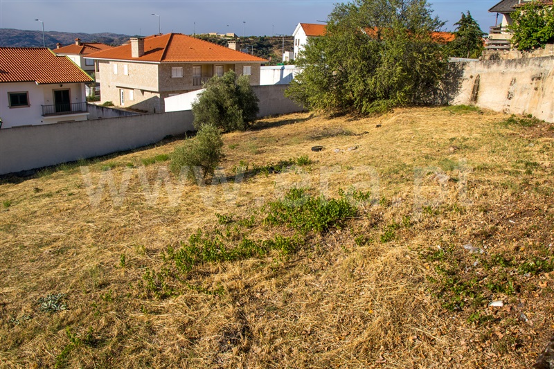 Lote  com Urbano Torre de Moncorvo - 1291075 - 7