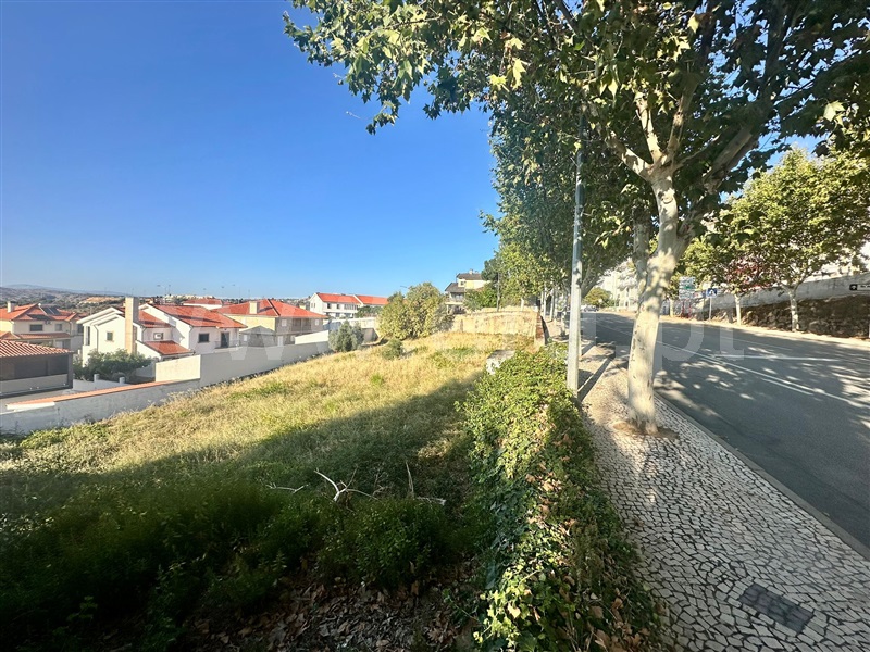 Lote  Torre de Moncorvo - 1452664 - 2