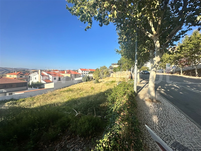 Lote  Torre de Moncorvo - 1452664 - 3