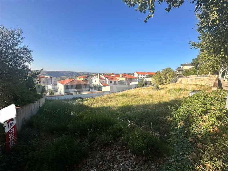 Lote  Torre de Moncorvo - 1452664 - 4