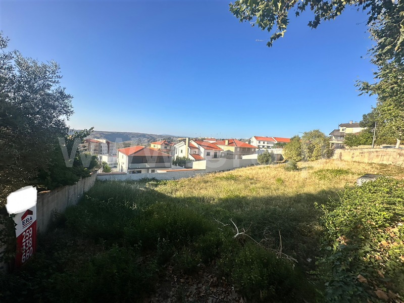 Lote  Torre de Moncorvo - 1452664 - 5