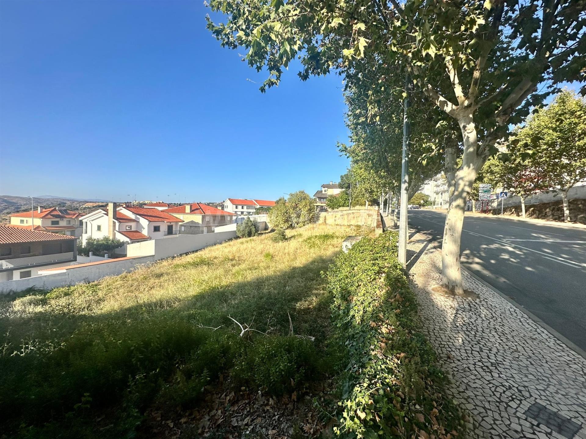 Terreno em Torre de Moncorvo