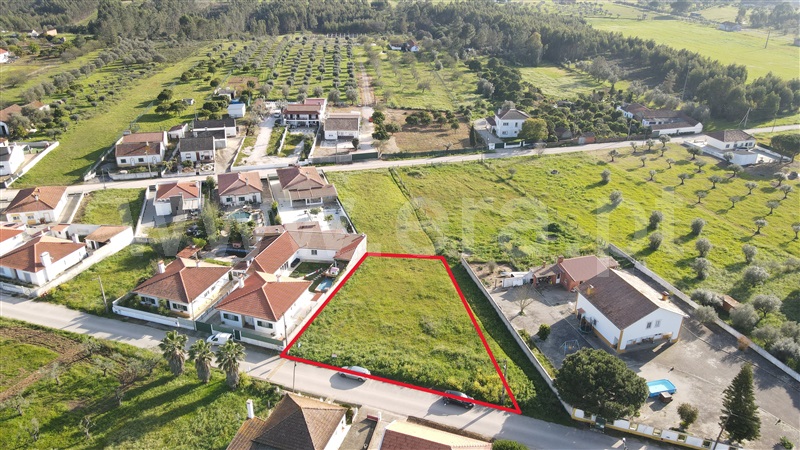 Lote / Torres Novas, Brogueira, Parceiros de Igreja e Alcorochel