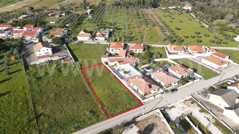 Lote / Torres Novas, Brogueira, Parceiros de Igreja e Alcorochel