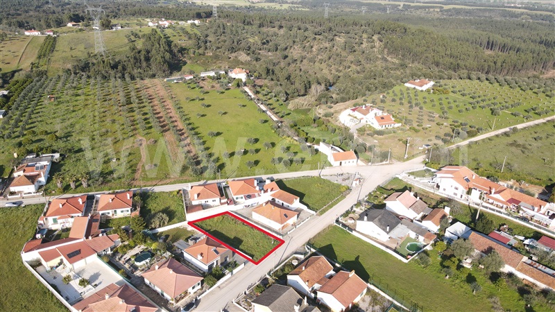 Lote / Torres Novas, Brogueira, Parceiros de Igreja e Alcorochel