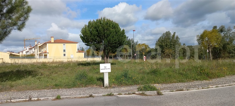 Lote  Torres Novas, Meia Via - 1241131 - 1