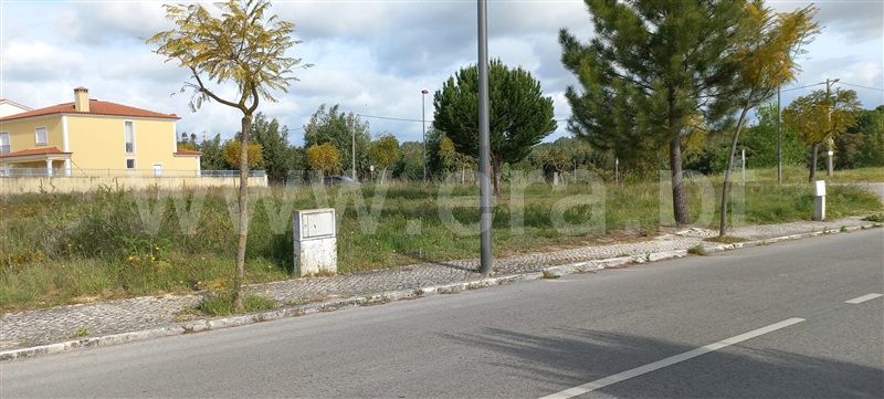 Lote  Torres Novas, Meia Via - 1241131 - 2