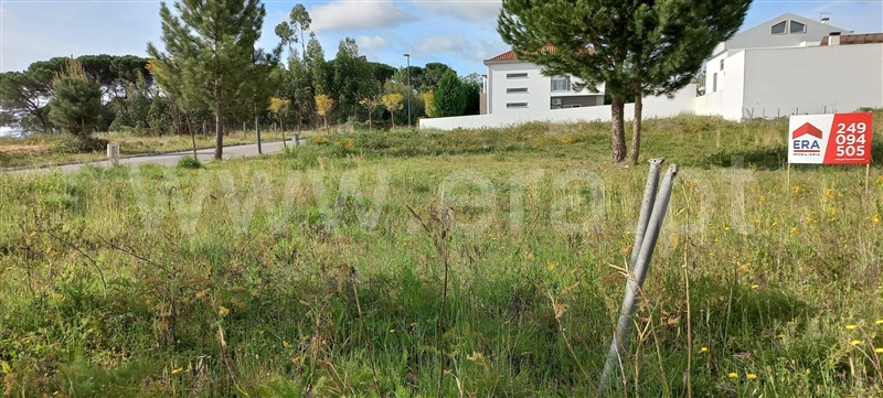 Lote  Torres Novas, Meia Via - 1241131 - 3