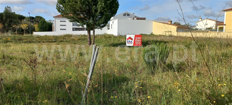 Lote  Torres Novas, Meia Via - 1241131 - 4